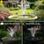 Lewisia Battery Backup Solar Fountain Pump with LED Lighting Solar Powered Water Pump Kit for Pool Koi Pond Garden Bird Bath 5W