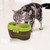 Cat H2O Filtered Cat Water Fountain 67 fl. oz/2.1 Quart with Filter & Dental Care Tablet, Lime Green/Translucent Black