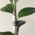 Vtete 20 Pcs Large and 50 Pcs Small Daisy Orchids Clips Garden Tomato Trellis Clips to Keep Plant Neat and Healthy, Green