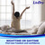 LivDry Adult Diapers Large Incontinence Underwear, Overnight, Leak Protection, 16-Pack