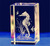 Crystal Glass Seahorse Statue Model,3D Laser Etched Crystal Seahorse Figurine Art,Animal Crystal Glass Cube Engraving Seahorse Ornaments Gifts (30x30x40mm)