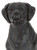 Deco 79 Polystone Dog Decorative Sculpture Home Decor Statue, Accent Figurine 14" x 9" x 20", Brown
