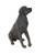 Deco 79 Polystone Dog Decorative Sculpture Home Decor Statue, Accent Figurine 14" x 9" x 20", Brown