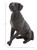 Deco 79 Polystone Dog Decorative Sculpture Home Decor Statue, Accent Figurine 14" x 9" x 20", Brown
