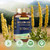 Totaria Mullein Capsules with Calendula for Lung Detox & Cleanse, Mullein Leaf Extract for Lungs Herbal Supplements for Respiratory Health & Immunity - 90 Vegan Caps Totaria Mullein Capsules with Calendula for Lung Detox & Cleanse, Mullein Leaf Extract for Lungs Herbal Supplements for Respiratory Health & Immunity - 90 Vegan Caps