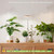 Plant Grow Light for Indoor Plant,Bamboo Mini LED Grow Light Garden,Height Adjustable,Automatic Timer with 8/12/16 Hours