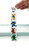 Dancing Bears Mezuzah - 5.5" Acrylic Mezuzah - Personalized by Florida-Funshine