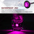 TMH 20 Pcs Purple Light 3/4 Inch 3 LED Clearance Markers Side Marker Indicator Lights Mini Round Front Rear Sealed Flush Mount with Grommet for Truck Trailer Lorry Bus 12V DC-1765817742