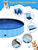 Foldable Dog Pool, Lexda Hard Plastic Shell Pet Swimming Pools for Large Dogs, Collapsible Plastic Pet Pool, Portable Bathing Tub for Dogs (79x12inch)