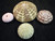 Decorative Sea Urchin Sampler: Natural Pink, Green, Sputnik and Alfonso Nautical