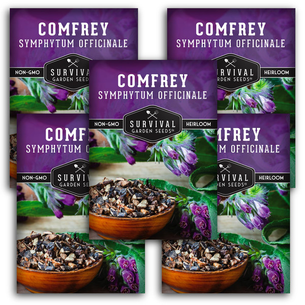Survival Garden Seeds Comfrey Seed for Planting - 5 Packets with Instructions to Plant and Grow Slippery Root Plants in Your Home Herb Garden - Symphytum officinale - Non-GMO Heirloom Seed Variety Survival Garden Seeds Comfrey Seed for Planting - 5 Packets with Instructions to Plant and Grow Slippery Root Plants in Your Home Herb Garden - Symphytum officinale - Non-GMO Heirloom Seed Variety