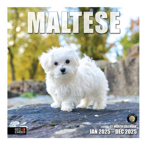 RED EMBER Maltese 2025 Wall Calendar 12 Month | 12" x 24" Open | Thick & Sturdy Paper | Giftable | Calendar 2025