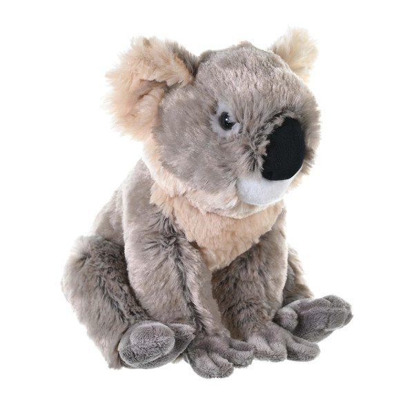 Wild Republic Koala Plush, Stuffed Animal, Plush Toy, Gifts for Kids, Cuddlekins 12"