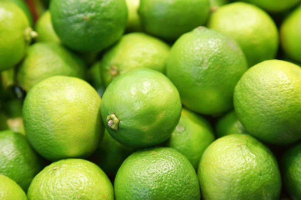 Fresh Key Limes 3 lbs Fresh Key Limes 3 lbs