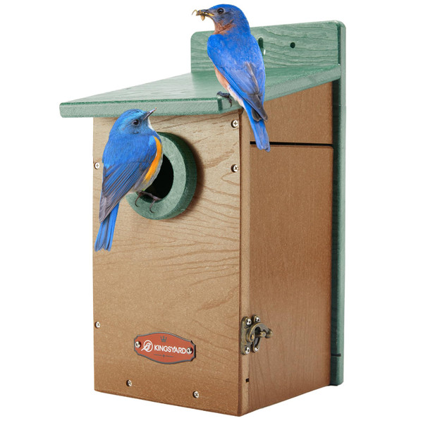 Kingsyard Recycled Plastic Bird House for Outdoor - Durable Nesting Box with Clear View Panel & Predator Guard for Bluebird Wren Swallow Finch, Green & Brown