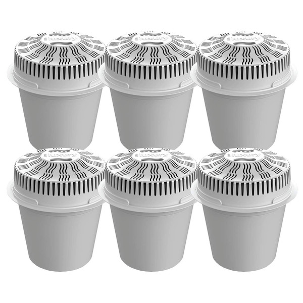 Little Luxury Vitality, Replacement Filters for Water Coolers and Non Cooling Dispensers, 6-Pack