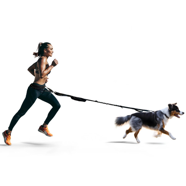 FITLY Dog Running Waist Belt - Running Dog Lead - Canicross Harness Carry Personal Items Running, Walks, Hikes - Waist Leads for Dogs with Belt Pouch, Converts into Canicrossing Line - Emerald Blue