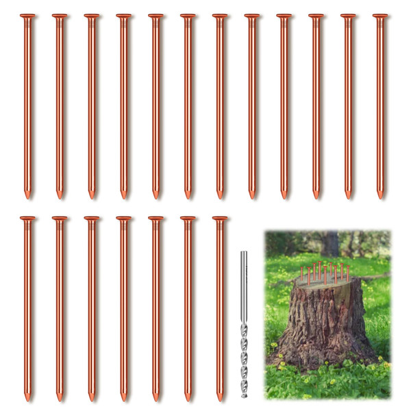 UNIFAMILY 25pcs Copper Nails for Killing Trees Stump Root, 3.15 Inch Long Pure Copper Nails Bulk with Drill, Heavy Duty Tree Stump Killer, Tree Removal Durable Spikes for Landscaping Gardening