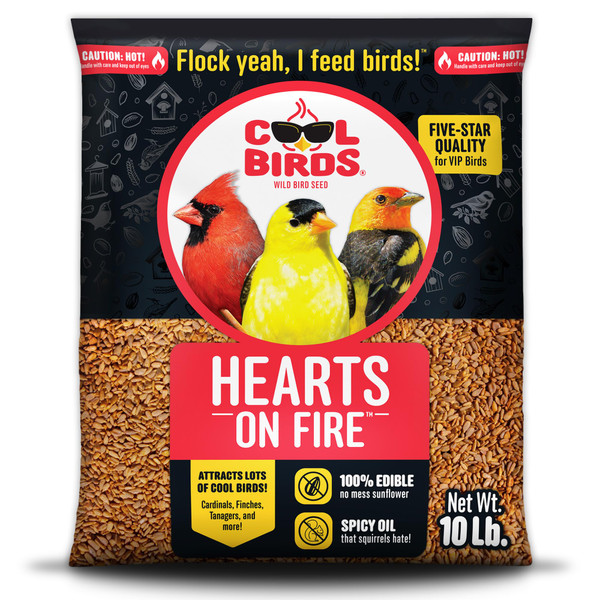 Cool Birds Hearts on Fire Hot Bird Seed – 10 lb. 100% Hulled Sunflower Hearts with Chili Pepper Oil – No Waste Bird Seed for Outside Feeders