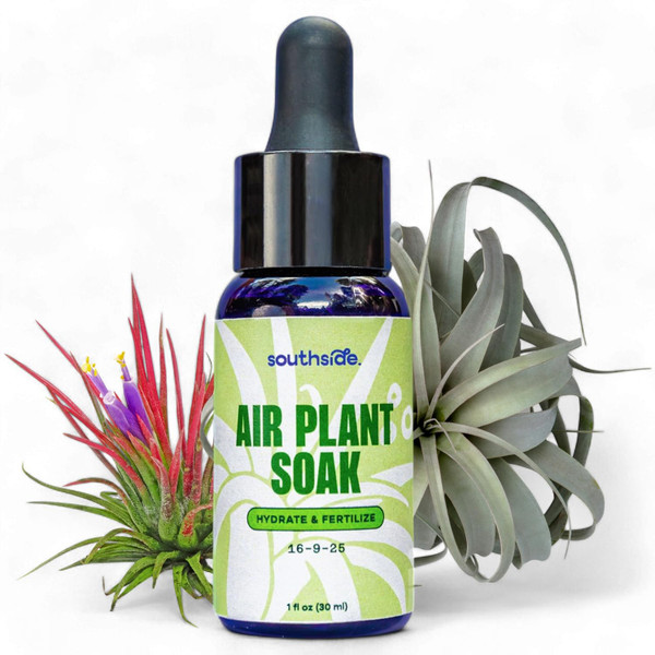 Air Plant Fertilizing Concentrated Soak by Southside Plants - Fertilizer Mist for Houseplants, Weekly Plant Food - Gentle Mist Formula for Miracle Feed & Grow - 1 oz