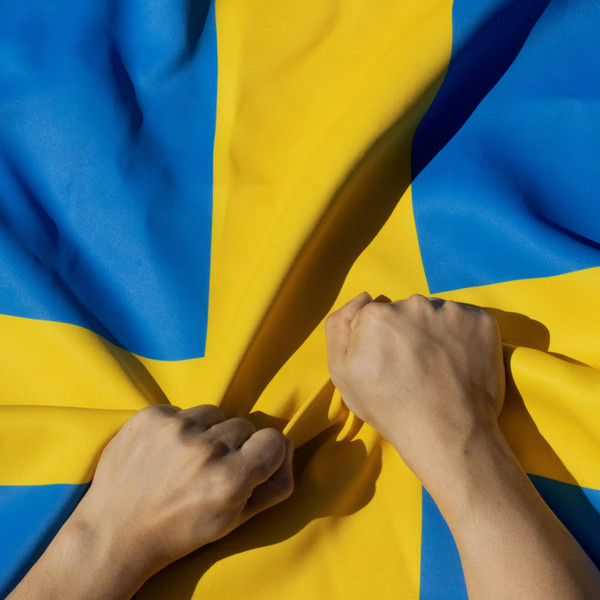 Anley Rip-Proof Double Sided 3-Ply Sweden Flag 3x5 Foot - Vivid Color, Canvas Header and Wrinkle Resistant - The Strongest, Longest Lasting Swedish National Flags 3 X 5 Ft