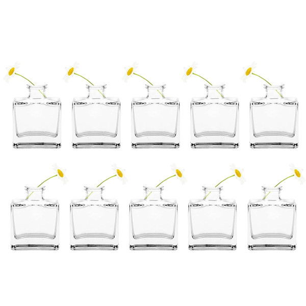 CHIVE ‘Loft’ Small Mini Flower Vases - Clear Glass Bud Vases, Set of 10 - Cute Vintage Rustic Centerpieces for Wedding, Events & Home - Premium Quality, Designed to Last-1769276586