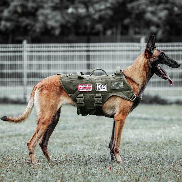 PETAC GEAR Tactical Dog Harness No Pull for Large Working Dogs Military Dogs Vest Police Service Training Dogs Molle Harnesses with Handle (RG, L)