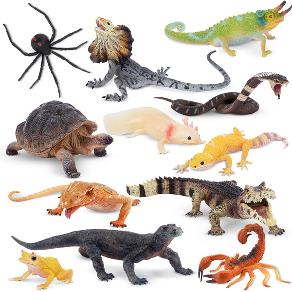 Toymany Reptile Animal Figurine Toys Set, 12 PCS Halloween Desert Amphibians Animal Figures with Komodo Dragon Lizard Snake Chameleon Rainforest Cold Blooded Animals Figures Party Favor for Kids
