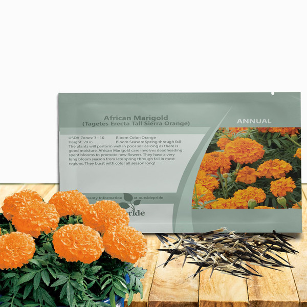 Outsidepride Tall Sierra Orange African Marigold Seeds for Planting - 2000 Pcs Annual, Compact & Heat-Tolerant, Flower Seeds w/Vibrant Orange Blooms & Hardy Growth, Ideal for Pollinator Gardens