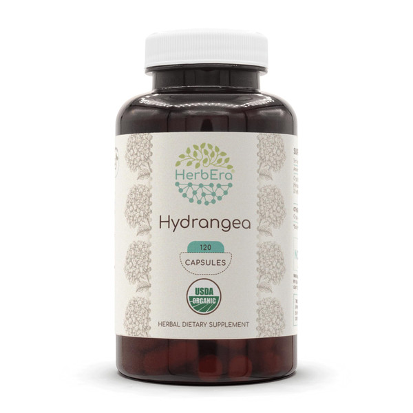 HerbEra Hydrangea USDA Organic 120 Capsules | Natural Herbal Supplement | Certified Organic Vegetarian Capsules and Organic Hydrangea (Hydrangea arborescens) Dried Root (120 Capsules)