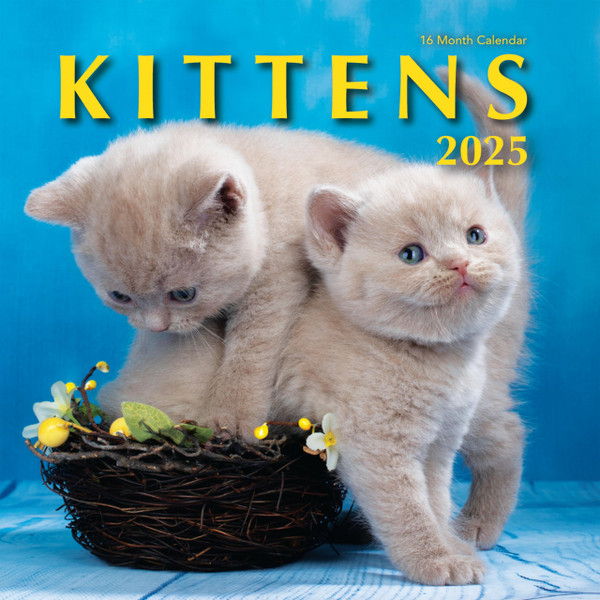 Kittens 2025 Hangable Wall Calendar Cute Kitty Cat Photo Gift for Her Beautiful Kitten Photography Large Full Page 16 Months for Organizing Planning (2025 Kittens) Kittens 2025 Hangable Wall Calendar Cute Kitty Cat Photo Gift for Her Beautiful Kitten Photography Large Full Page 16 Months for Organizing Planning (2025 Kittens)