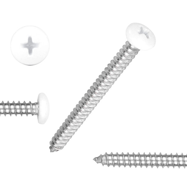 White Head 100 PCS #10x2 Stainless Steel Phillips Pan Head Wood Screws,Stainless Steel 18-8 A2(304) Screw,Home Screw Kit by QISHENG
