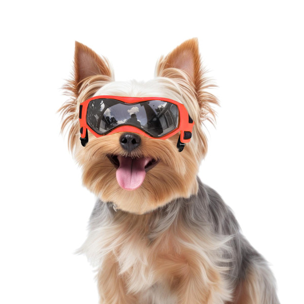 Dog Goggles Small Breed, Dog Sunglasses Small Breed Dog Eye Sun Light Protection, UV Protection Goggles for Dog with Adjustable Straps, Small Orange Dog Goggles Small Breed, Dog Sunglasses Small Breed Dog Eye Sun Light Protection, UV Protection Goggles for Dog with Adjustable Straps, Small Orange