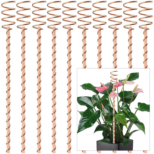 10Pack Electroculture Plant Stakes, 12" Electroculture Copper Gardening Antenna, Copper Coil Plant Stakes for Garden,Garden Stakes for Plants Fruits Vegetables Growth,Eco-Friendly,High-Yield