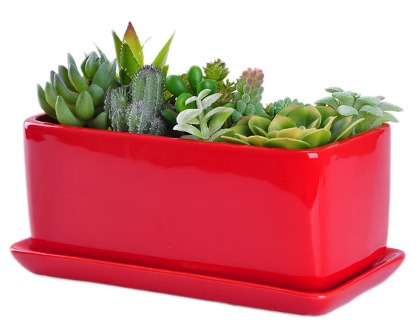 VanEnjoy 10 Inch Red Rectangle Ceramic Succulent Planter Pot Decorative Cactus Plant Pot Flower Container with Ceramic Tray