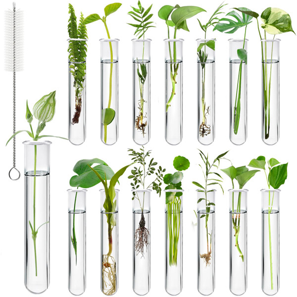 Worldity 15Pcs Clear Test Tubes for Plant, 20ml Plant Propagation Tube with Brush, Plastic Test Tubes for Hydroponic Plants, Flowers, Home Office Wall Decor (12cm), Transparent