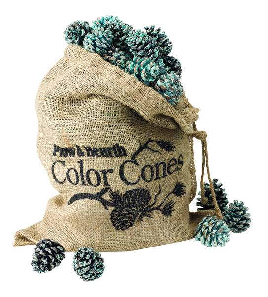 Fireplace Color Cones, Festive Fun Rainbow Flame Changing Pine Cones, Fire Pit Campfire Hearth Wood Burning Accessories for Holidays or Anytime - 2 LB Refill Bag