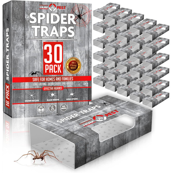 Trap a Pest Indoor Sticky Spider Traps - Glue Traps - 30 Pack