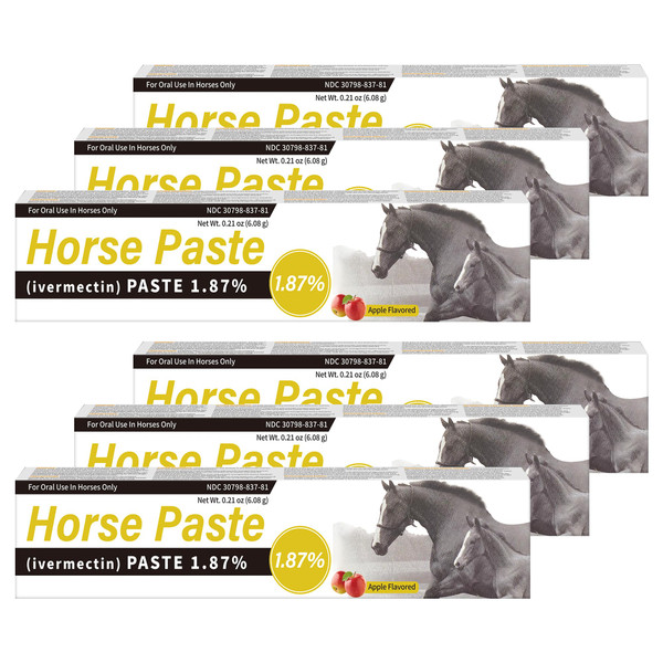 Qouinuey 6 Pack Equine Paste 1.87% – 6.08g Each Apple Flavored Oral for Horse