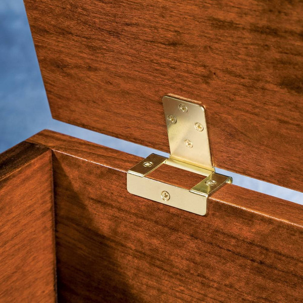No-Mortise Chest Hinge - Brass Plated Lightweight Heavy Duty Hinges for Wood - Surface Mounted Lid Support Hinges for Wooden Box & Furniture Repairs - Easy to Install Folding Hinge