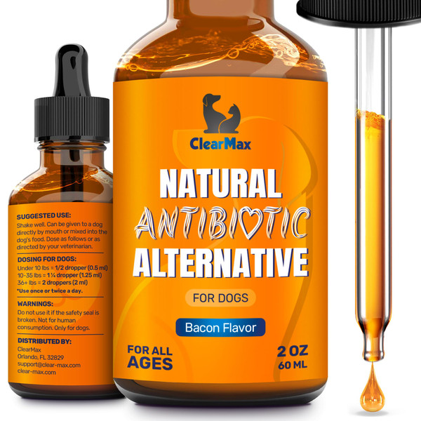 Dog Antibiotics for Infections, Allergies & Coughs – Bacon Flavor, 2 Oz