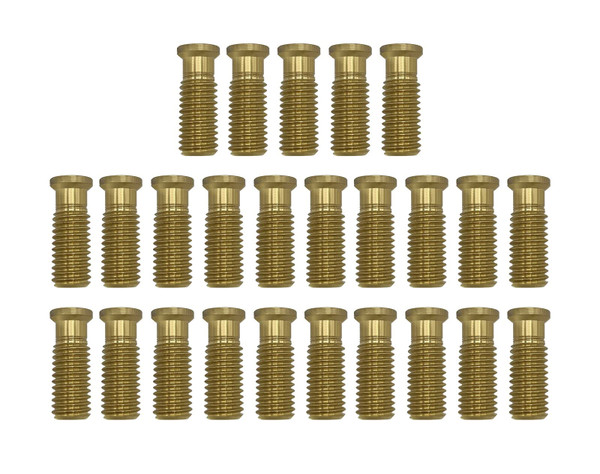 Poolzilla [25] Pool Safety Cover 1 1/2" Extended Brass Screw for Anchors