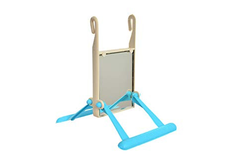 2 Bird Cage Hanging Mirrored Small Swing Perch Toys Parakeet Budgie Canary Standing Toy Glass Mirror, Plastic Perch