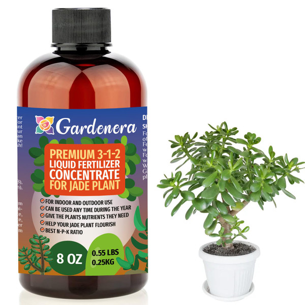 Gardenera Premium Liquid Jade Fertilizer - 3-1-2 Concentrate for Indoor Plants and Flowers - Organic Plant Food - 8oz Gardenera Premium Liquid Jade Fertilizer - 3-1-2 Concentrate for Indoor Plants and Flowers - Organic Plant Food - 8oz