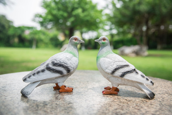 RKGOMDMU Grey Pigeon Resin Bird Statues, Lifelike Realistic Feather Texture Figurines, Weatherproof Outdoor Decor for Garden Lawn Yard Patio Porch(Set of 2)