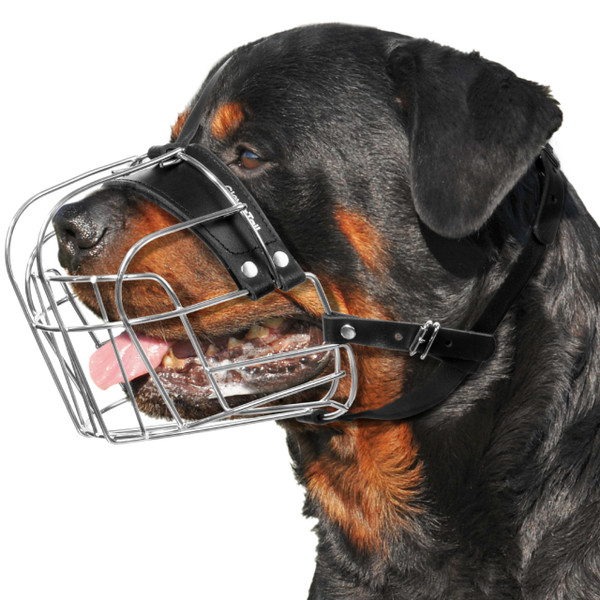 CleverTail XL Metal Dog Muzzle for Large Sized Dogs – Heavy Duty Rottweiler Muzzle – Basket Extra Large Dog Muzzles for Barking and Biting Cane Corso, Mastiff, Labrador, Bulldog and Other Big Breeds