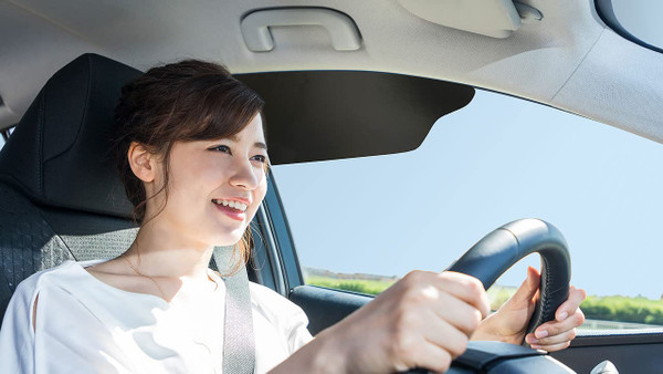 TuckVisor Windshield Sunshade for Car Sun Window Shade Visor Shades Sunshade Visors Extender (2 Pack)