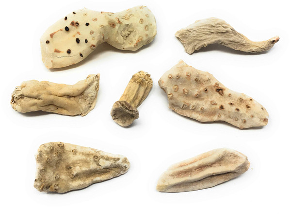 Whole Orris Root - 100% Iris Germanica - Iris Root Contains Essential Oils, Flavonoids And Is Used In Perfumes - Net Weight: 1.76oz / 50g Whole Orris Root - 100% Iris Germanica - Iris Root Contains Essential Oils, Flavonoids And Is Used In Perfumes - Net Weight: 1.76oz / 50g