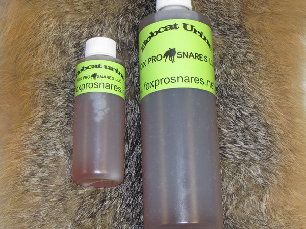 Bobcat Urine (16 oz.)