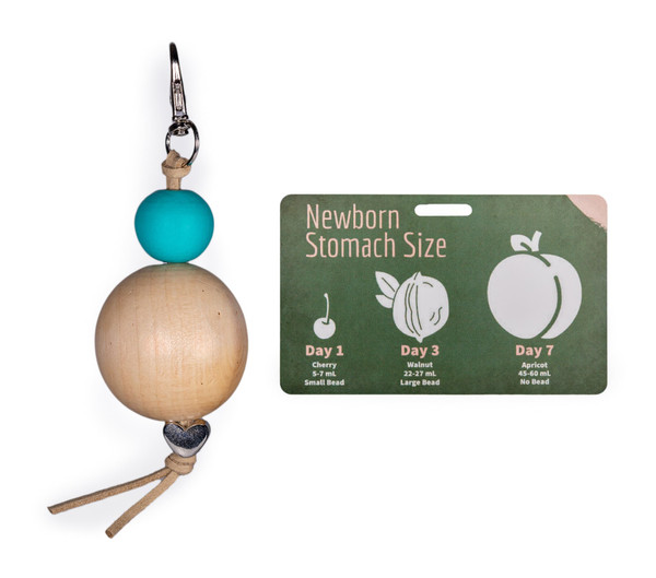 Breastfeeding Belly Beads Stomach Size - Newborn Baby Tummy - Gift for Nurses Midwives Lactation Consultants Postpartum L&D RN Doula - Visual Teaching Tool Education (Blue)